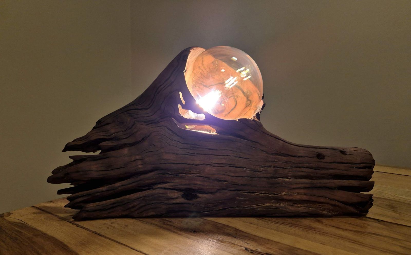 Hollow in profile: a globe bulb glowing in the hollow of a dark, deeply cracked gum log